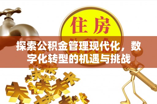 船营探索公积金管理现代化，数字化转型的机遇与挑战