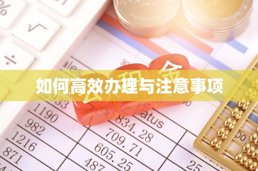 船营如何高效办理与注意事项