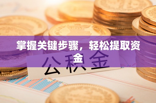 船营掌握关键步骤，轻松提取资金