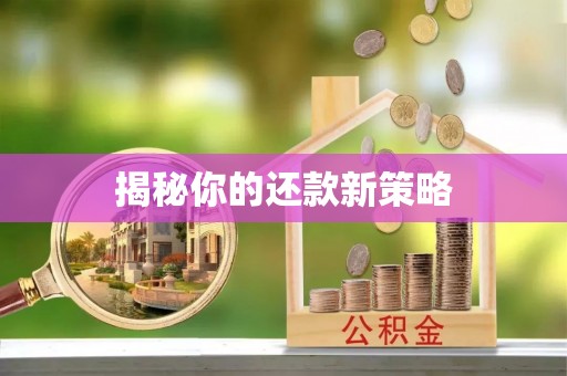 船营揭秘你的还款新策略