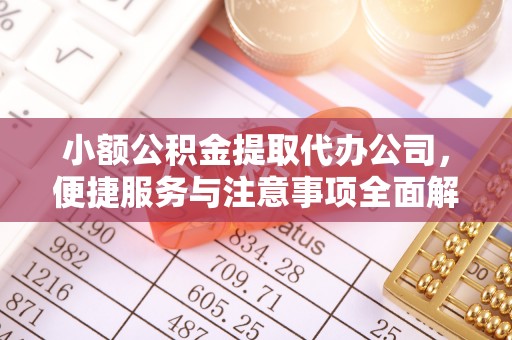 船营小额公积金提取代办公司，便捷服务与注意事项全面解析