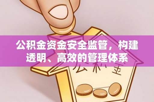 船营公积金资金安全监管，构建透明、高效的管理体系