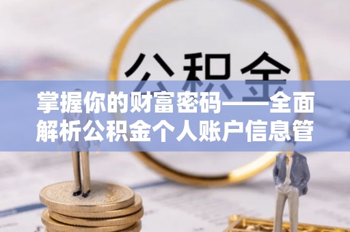 船营掌握你的财富密码——全面解析公积金个人账户信息管理与优化