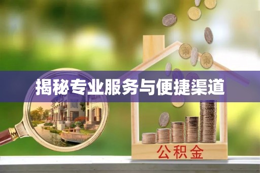 船营揭秘专业服务与便捷渠道