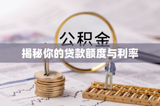 船营揭秘你的贷款额度与利率