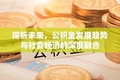 船营探析未来，公积金发展趋势与社会经济的深度融合
