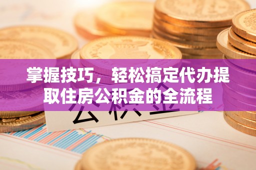 船营掌握技巧，轻松搞定代办提取住房公积金的全流程