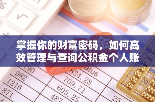 船营掌握你的财富密码，如何高效管理与查询公积金个人账户信息