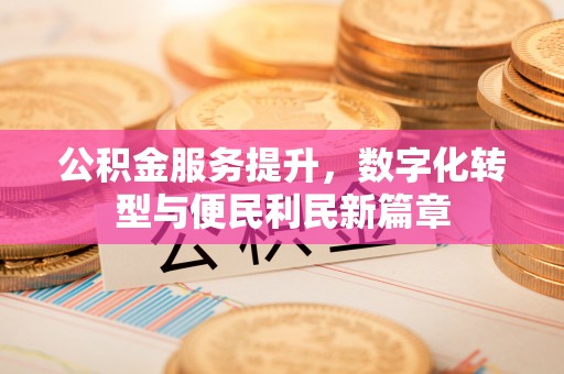 船营公积金服务提升，数字化转型与便民利民新篇章