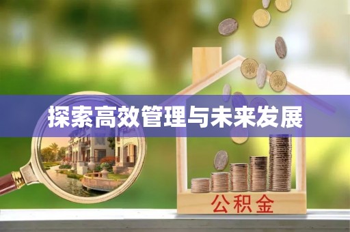 船营探索高效管理与未来发展