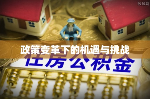 船营政策变革下的机遇与挑战
