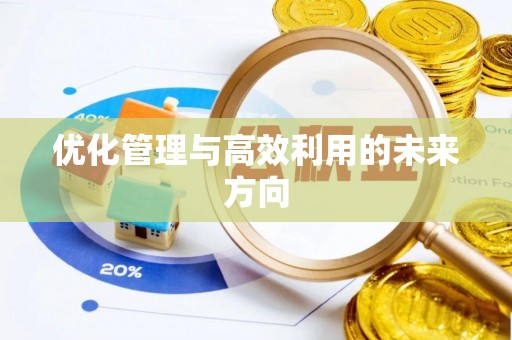 船营优化管理与高效利用的未来方向