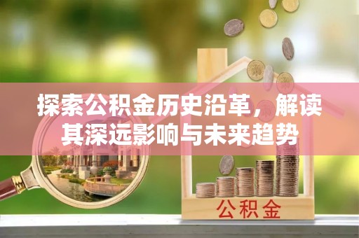 船营探索公积金历史沿革，解读其深远影响与未来趋势
