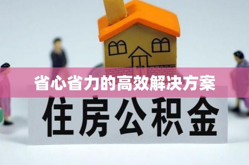 船营省心省力的高效解决方案