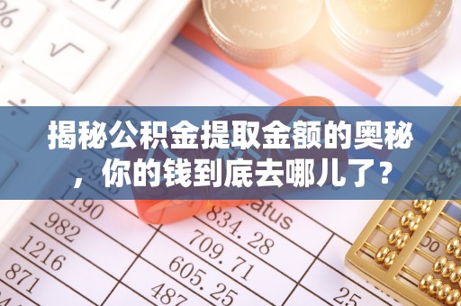 船营揭秘公积金提取金额的奥秘，你的钱到底去哪儿了？