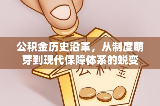 船营公积金历史沿革，从制度萌芽到现代保障体系的蜕变