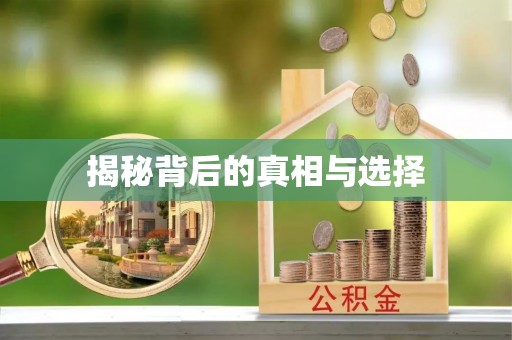 船营揭秘背后的真相与选择