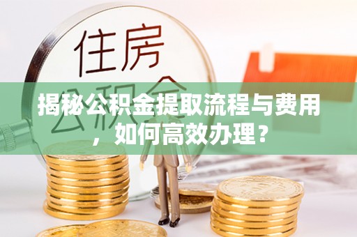 船营揭秘公积金提取流程与费用，如何高效办理？