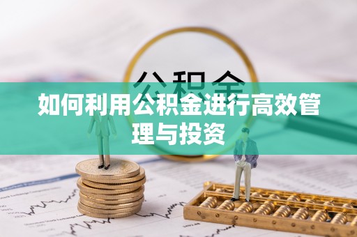 船营如何利用公积金进行高效管理与投资