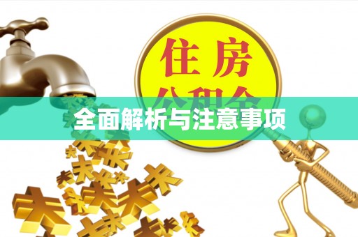 船营全面解析与注意事项