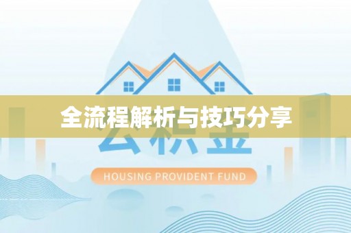 船营全流程解析与技巧分享