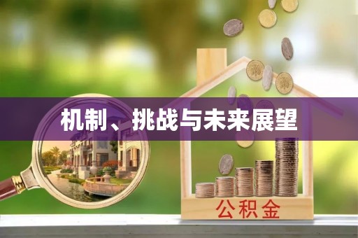 船营机制、挑战与未来展望